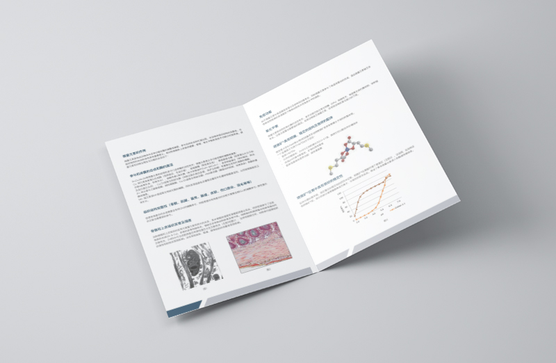 饲料产品宣传二折页设计